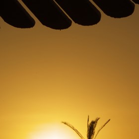 Не серьезно: Египет