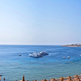 Не серьезно: Египет